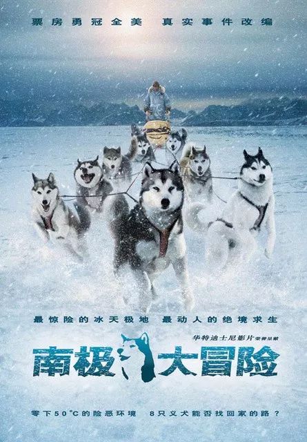 特工剧英解码档案